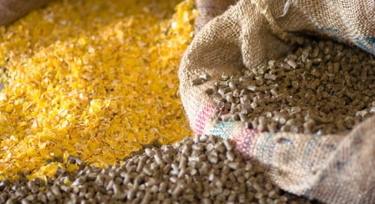 Feed Additives Market