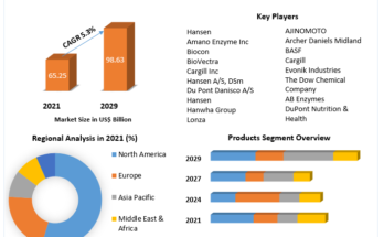 Fermentation Chemicals Market