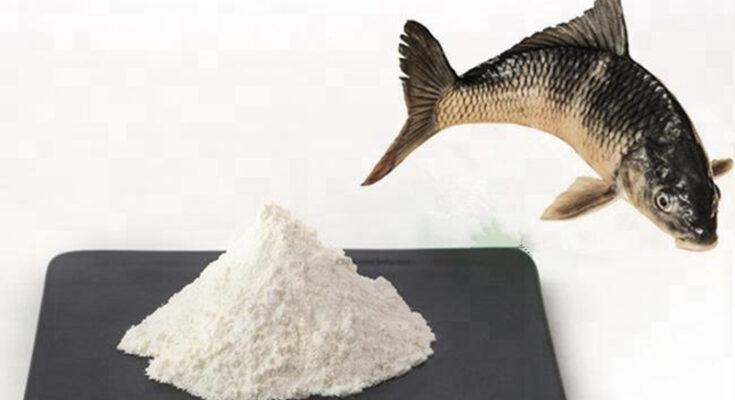 Fish Collagen Peptides Market