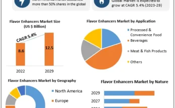 Flavor Enhancer Market