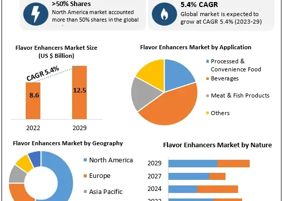 Flavor Enhancer Market