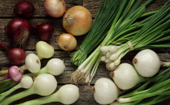 Fresh Onions and Shallots Market