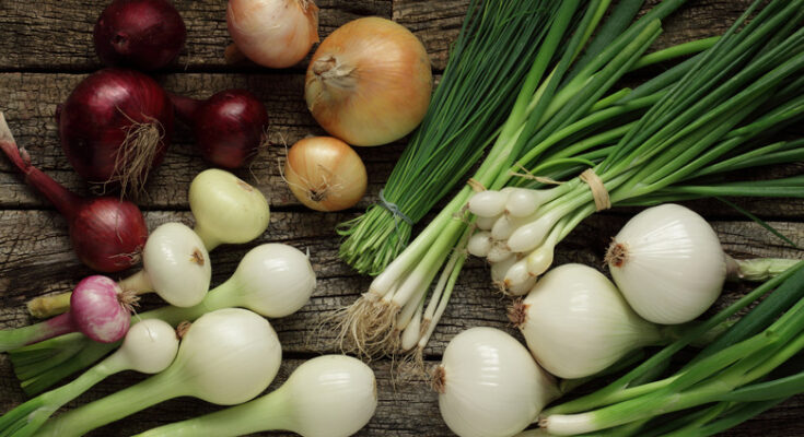 Fresh Onions and Shallots Market