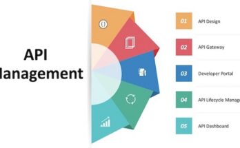 Global API Management Market