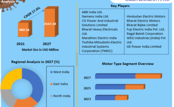 India Electric Motor Market