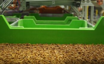 Insect Farming Technology Market