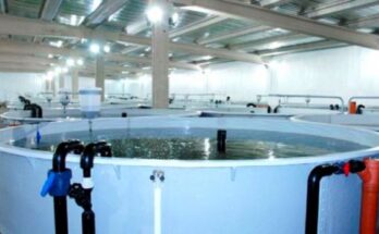 Integrated Recirculating Aquaculture System (RAS) Market