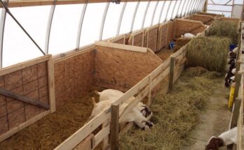 Livestock Shelter Market