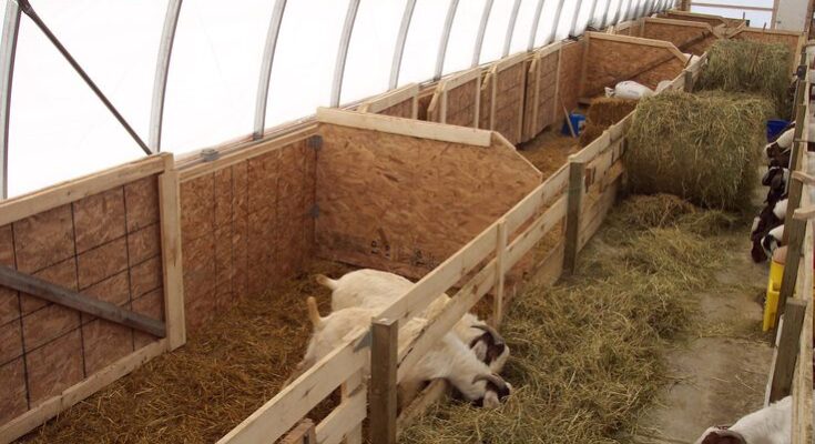 Livestock Shelter Market