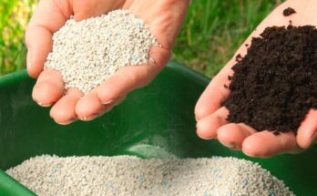 Natural Lawn Fertilizer Market