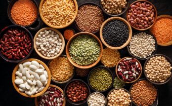 Oilseed and Grain Seed Market