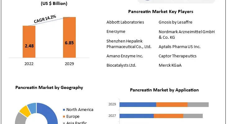 Pancreatin   Market