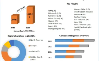 Patch Management Market