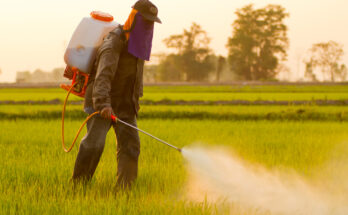 Pesticide Formulation Market