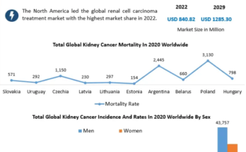 Renal Cell Carcinoma Treatment Market 