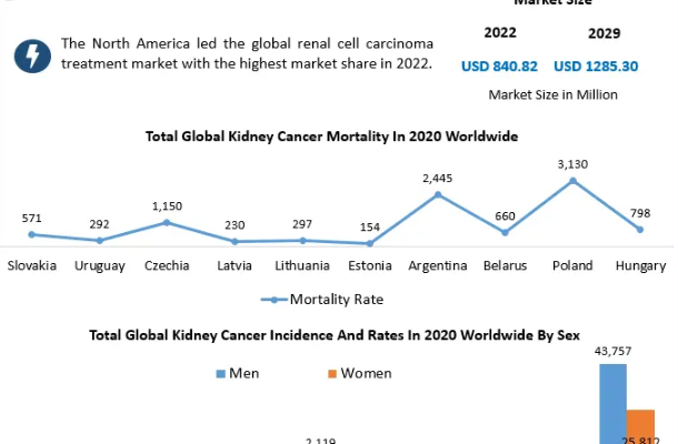 Renal Cell Carcinoma Treatment Market 