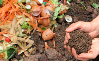 Residential Organic Compost Market