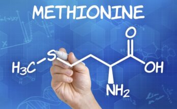 Saudi Arabia methionine market is anticipated to grow at a robust rate over the next 5 years. Get Free Sample Report Now.