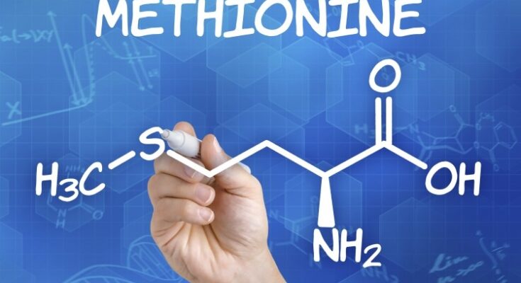 Saudi Arabia methionine market is anticipated to grow at a robust rate over the next 5 years. Get Free Sample Report Now.