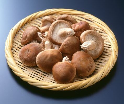 Shiitake Mushroom Market