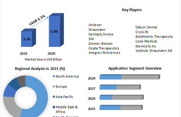 Tooth Regeneration Market