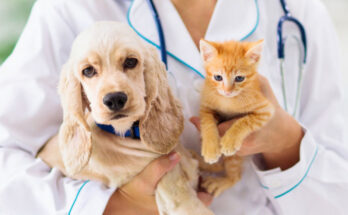 Veterinary Formulation Market