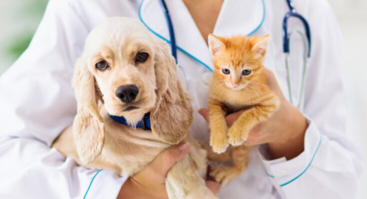 Veterinary Formulation Market