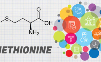 Vietnam Methionine Market is projected to grow at a robust CAGR over the next five years, get a FREE Sample Report Now for Insights.