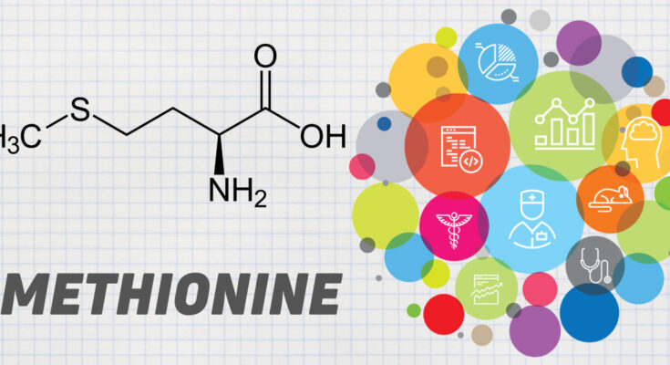 Vietnam Methionine Market is projected to grow at a robust CAGR over the next five years, get a FREE Sample Report Now for Insights.