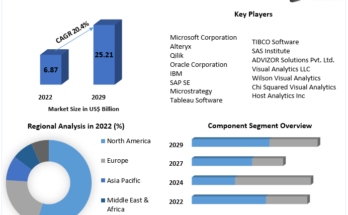 Visual Analytics Market