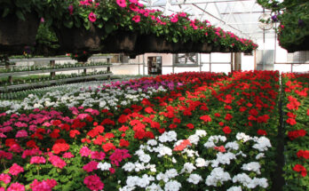 Floriculture Market