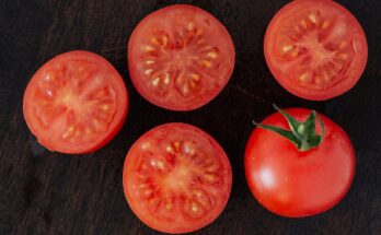 Tomato Seeds Market