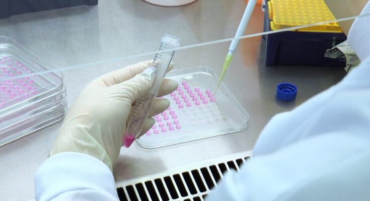 ADME Toxicology Testing