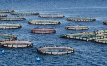 Aquaculture Therapeutics Market