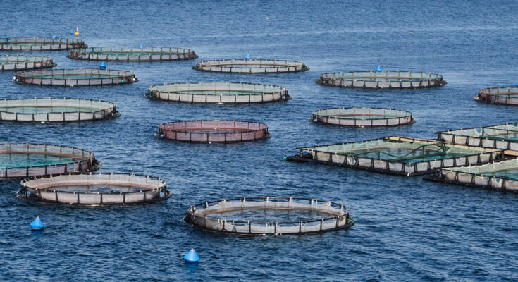 Aquaculture Therapeutics Market