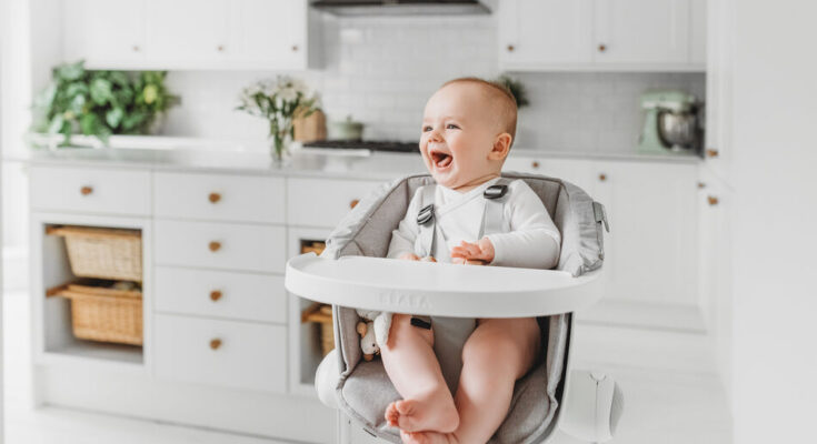 Baby High Chair Market