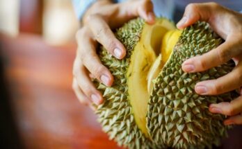 Durian Fruit Market