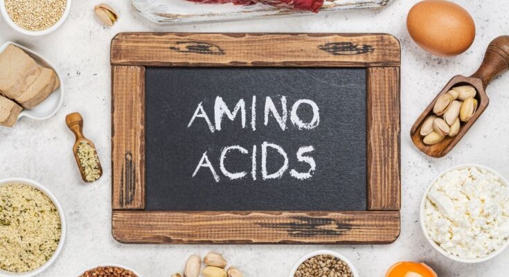 France Food Amino Acids Market stood at USD1.5 billion in 2022 & further grow with a CAGR of 7.28% through 2028. Free PDF Sample.