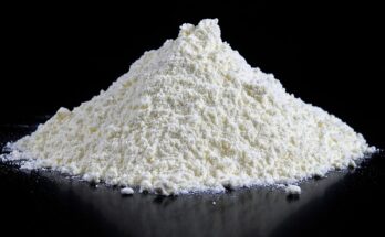 Functional Flour Global Market