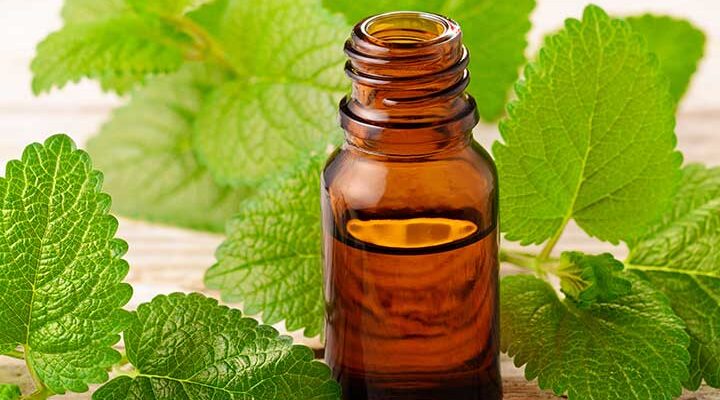 Lemon Balm Extract Market