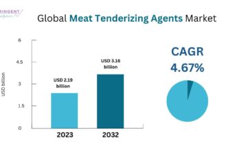 Meat Tenderizing Agents Market