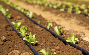 Micro Irrigation Market