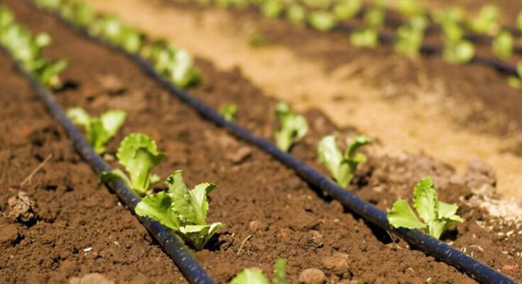 Micro Irrigation Market