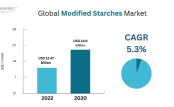 Modified Starches Market