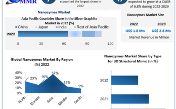 Nanozymes Market