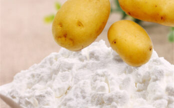 Native Potato Starch Market