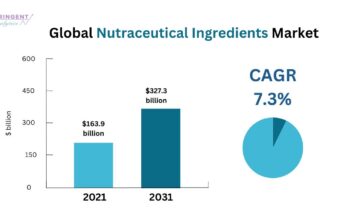 Nutraceutical Ingredients Market