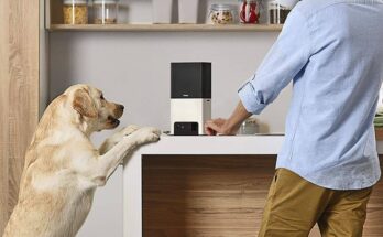 Pet Monitoring Camera Market