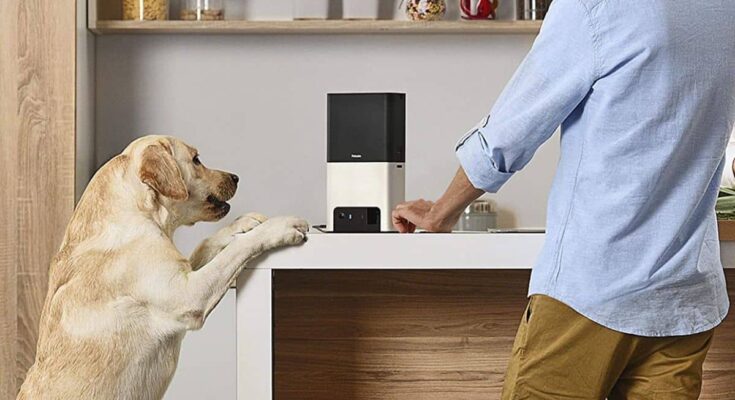 Pet Monitoring Camera Market