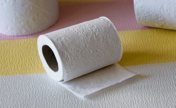 Sanitary Paper Product Market